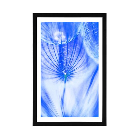 POSTER WITH MOUNT DANDELION IN BLUE DESIGN - FLOWERS - POSTERS