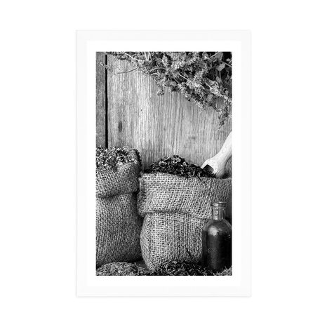 PLAKÁT S PASPARTOU LÉČIVÉ BYLINKY V ČERNOBÍLÉM PROVEDENÍ - ČERNOBÍLÉ - PLAKÁTY