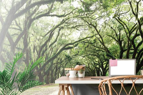 FOTOTAPETA STROMY V OBJATÍ - TAPETY PRÍRODA - TAPETY