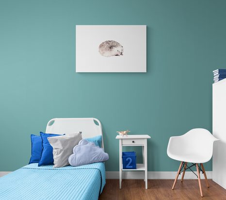 OBRAZ ROZTOMILÝ JEŽEK - DĚTSKÉ OBRAZY - OBRAZY
