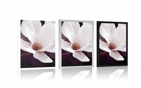 POSZTER MAGNÓLIA ABSZTRAK HÁTTÉREN - VIRÁGMINTÁS - POSZTEREK