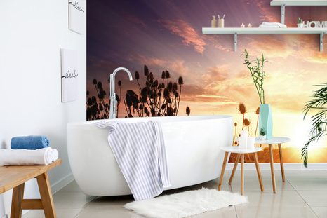 FOTOTAPETA STÉBLA TRÁVY NA POLI - TAPETY PŘÍRODA - TAPETY