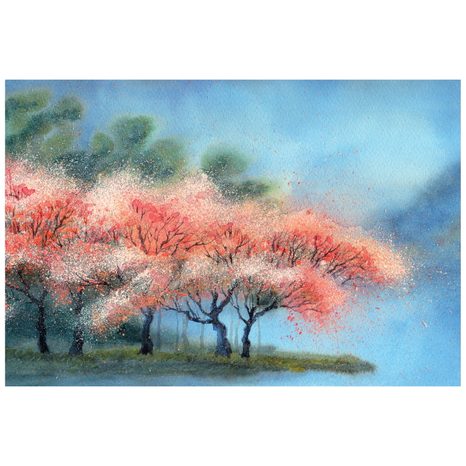 TAPETE BLÜHENDE BÄUME IN AQUARELL - TAPETEN - 🔥 TOTALAUSVERKAUF