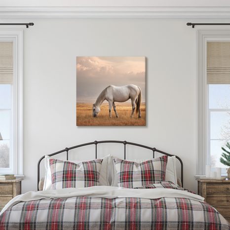 OBRAZ OSAMĚLÝ KŮŇ NA LOUCE - OBRAZY KONĚ - OBRAZY