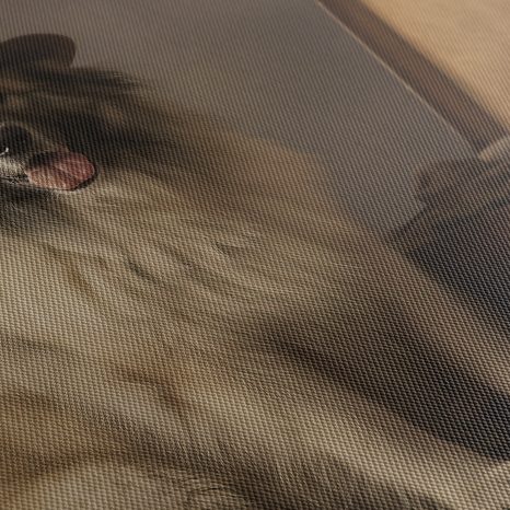 WANDBILD REISENDER HUND MIT HUT - BILDER VON HUNDEN - BILDER