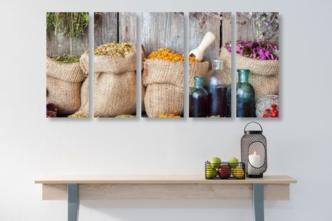 5-DÍLNÝ OBRAZ LÉČIVÉ BYLINKY - OBRAZY JÍDLA A NÁPOJE - OBRAZY