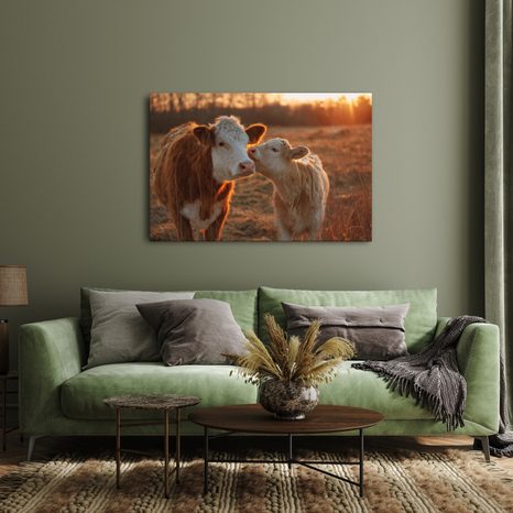 OBRAZ ZÁPAD SLUNCE NA PASTVINĚ - OBRAZY BUVOLI A KRÁVY - OBRAZY