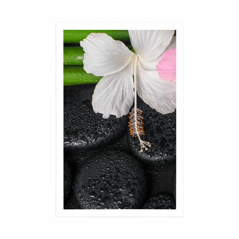 POSTER – NATURA MORTA WELLNESS - FENG SHUI - POSTER