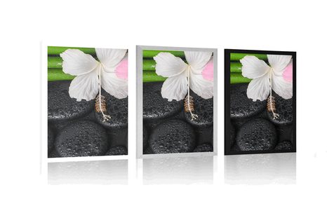 POSTER – NATURA MORTA WELLNESS - FENG SHUI - POSTER