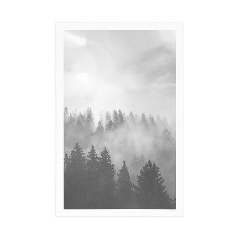 POSTER – NEBBIA SULLA FORESTA IN BIANCO E NERO - NERO E BIANCO - POSTER