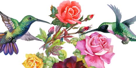 OBRAZ KOLIBŘÍCI S KVĚTINAMI - VINTAGE A RETRO OBRAZY - OBRAZY