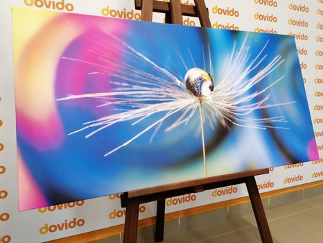 SLIKA KAPLJA ROSE NA ABSTRAKTNEM OZADJU - ABSTRAKTNE SLIKE - SLIKE