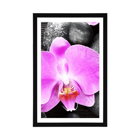 POSTER – MAGNIFICA ORCHIDEA E PIETRE - FENG SHUI - POSTER