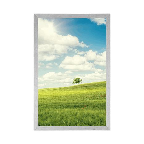 PLAGÁT NÁDHERNÝ SLNEČNÝ DEŇ NA LÚKE - PRÍRODA - PLAGÁTY