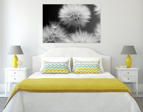 OBRAZ CZARNO-BIAŁY MNISZEK LEKARSKI - OBRAZY CZARNO-BIAŁE - OBRAZY