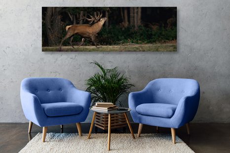 TABLOU CERBUL MAIESTUOS - TABLOURI ANIMALE - TABLOURI