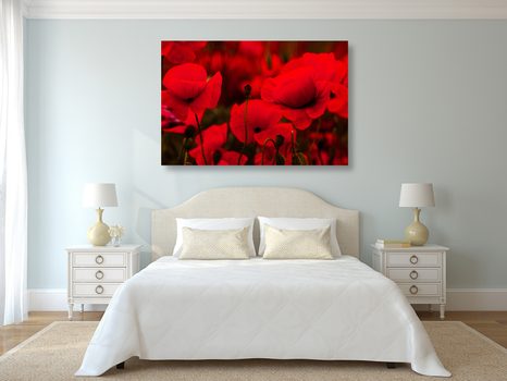 OBRAZ POLE DIVOKÝCH MÁKŮ - OBRAZY KVĚTŮ - OBRAZY