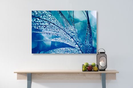 WANDBILD MORGENTAUTROPFEN - STILLLEBEN-BILDER - BILDER