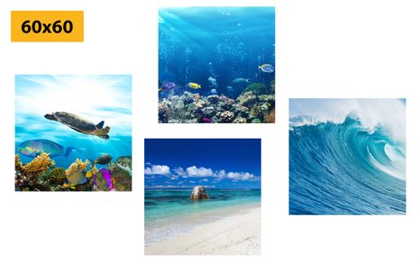 BILDER-SET MEERESWELT - BILDERSETS - BILDER