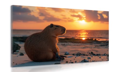 WANDBILD CAPYBARA BEIM SONNENUNTERGANG - DOVIDO CHALLENGE - BILDER