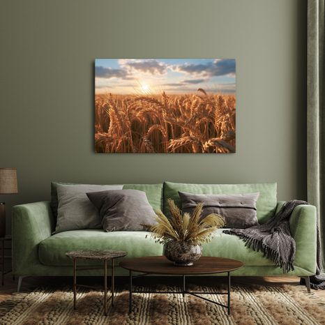 TABLEAU SUR TOILE – BLÉ DORÉ AU COUCHER DU SOLEIL - TABLEAUX DE CHAMPS ET PRAIRIES - TABLEAUX