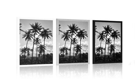 POSZTER KÓKUSZFÁK A TENGERPARTON, FEKETE-FEHÉRBEN - FEKETE-FEHÉR - POSZTEREK