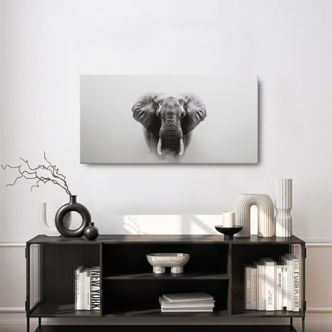 OBRAZ ČERNOBÍLÝ SLONÍ PORTRÉT - OBRAZY SLONI - OBRAZY