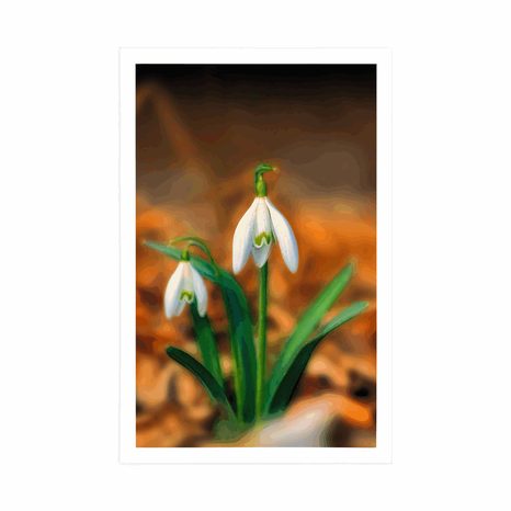 POSTER SCHNEEGLÖCKCHEN IM FRÜHLING - BLUMEN - POSTER