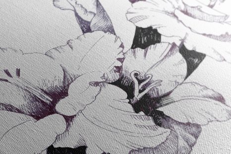 OBRAZ ILUSTRACE KVETOUCÍHO MEČÍKŮ - OBRAZY KVĚTŮ - OBRAZY