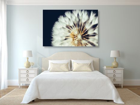 WANDBILD LÖWENZAHN AUF DUNKLEM HINTERGRUND - BILDER BLUMEN - BILDER