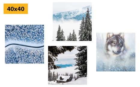 SET OBRAZŮ VLK V TAJEMNÉM LESE - SESTAVY OBRAZŮ - OBRAZY