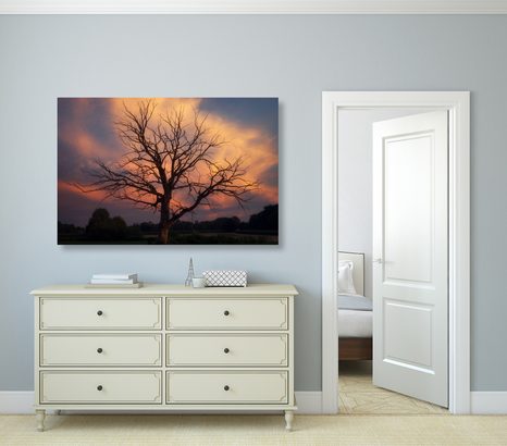 КАРТИНА НА ПЛАТНО – ПРЕКРАСНО ДЪРВО НА ЛИВАДАТА - КАРТИНИ НА ПРИРОДАТА И ПЕЙЗАЖИ - КАРТИНИ