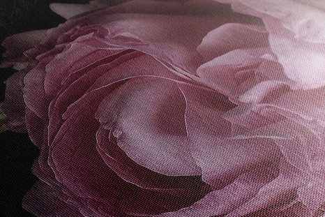 OBRAZ KYTICE KVĚTŮ V DETAILNÍM ZÁBĚRU - OBRAZY KVĚTŮ - OBRAZY