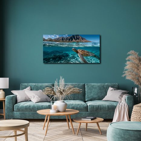 OBRAZ PODMOŘSKÝ SVĚT A ŽELVA - OBRAZY MOŘŠTÍ ŽIVOČICHOVÉ - OBRAZY