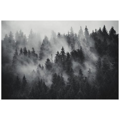CARTA DA PARATI AUTOADESIVA – FORESTA NELLA NEBBIA IN BIANCO E NERO - CARTA DA PARATI AUTOADESIVE - CARTA DA PARATI
