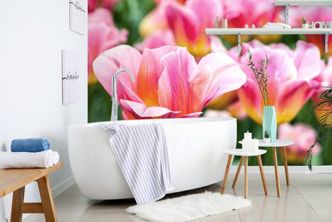 FOTOTAPETA LOUKA RŮŽOVÝCH TULIPÁNŮ - TAPETY KVĚTINY - TAPETY