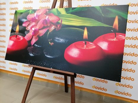 КАРТИНА НА ПЛАТНО – УСПОКОЯВАЩ ЗЕН НАТЮРМОРТ - ФЪН ШУЙ КАРТИНИ - КАРТИНИ