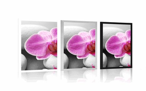 PLAKÁT KVĚTINY ORCHIDEJE NA BÍLÝCH KAMENECH - FENG SHUI - PLAKÁTY