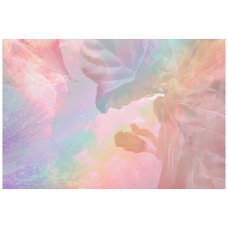 TAPETE REGENBOGENBLÄTTER - TAPETEN MIT NATURMOTIVEN - TAPETEN