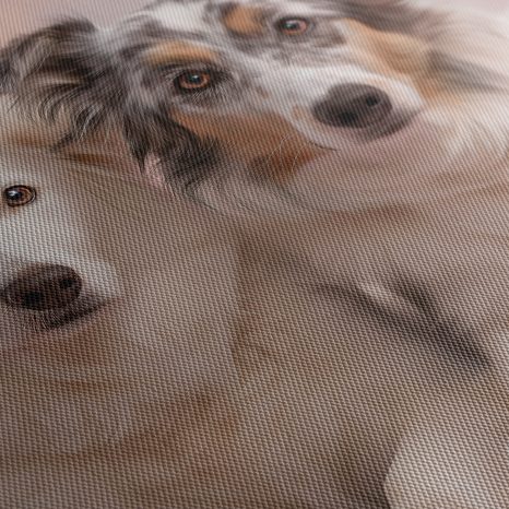 OBRAZ PSI PŘÁTELSTVÍ V KVĚTECH - OBRAZY PSI - OBRAZY