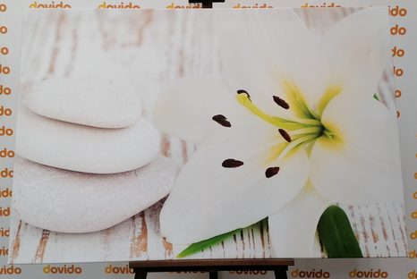 QUADRO SU TELA – GIGLIO E PIETRE DA MASSAGGIO IN BIANCO - QUADRI FENG SHUI - STAMPE E QUADRI