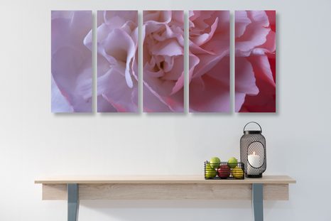 5-RÉSZES KÉP SZEGFŰ VIRÁGSZIRMAI - VIRÁGMINTÁS KÉPEK - KÉPEK