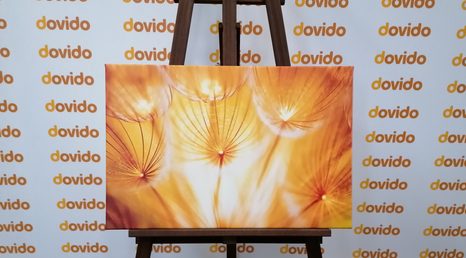 КАРТИНА НА ПЛАТНО – ГЛУХАРЧЕ В ПРЕКРАСНО ИЗПЪЛНЕНИЕ - КАРТИНИ С ЦВЕТЯ - КАРТИНИ