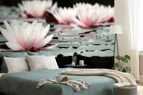 CARTA DA PARATI AUTOADESIVA – FIORE DI LOTO - CARTA DA PARATI AUTOADESIVE - CARTA DA PARATI