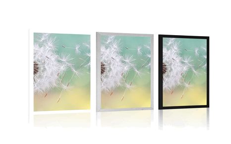 AFFICHE – PISSENLIT MAGIQUE - FLEURS - AFFICHES