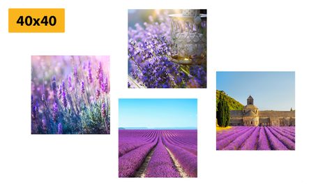 SET OBRAZŮ PRO MILOVNÍKY LEVANDULE - SESTAVY OBRAZŮ - OBRAZY