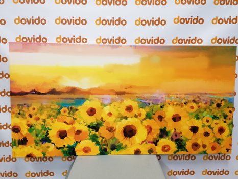 KÉP NAPRAFORGÓ MEZŐ - VIRÁGMINTÁS KÉPEK - KÉPEK