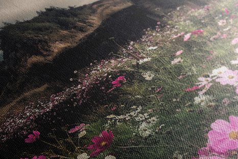 KÉP VIRÁGZÓ RÉT - TERMÉSZET- ÉS TÁJKÉPEK - KÉPEK