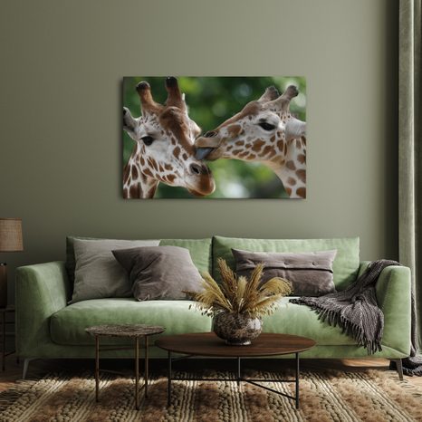 OBRAZ NĚŽNÝ DOTEK ŽIRAF - OBRAZY ZEBRY A ŽIRAFY - OBRAZY