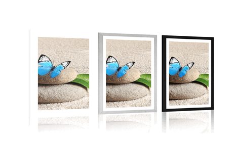 PLAKAT Z PASSE-PARTOUT NIEBIESKI MOTYL NA KAMIENIU ZEN - FENG SHUI - PLAKATY